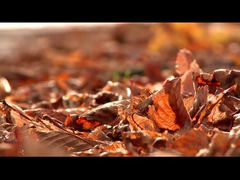 Brightening Mask-8.19